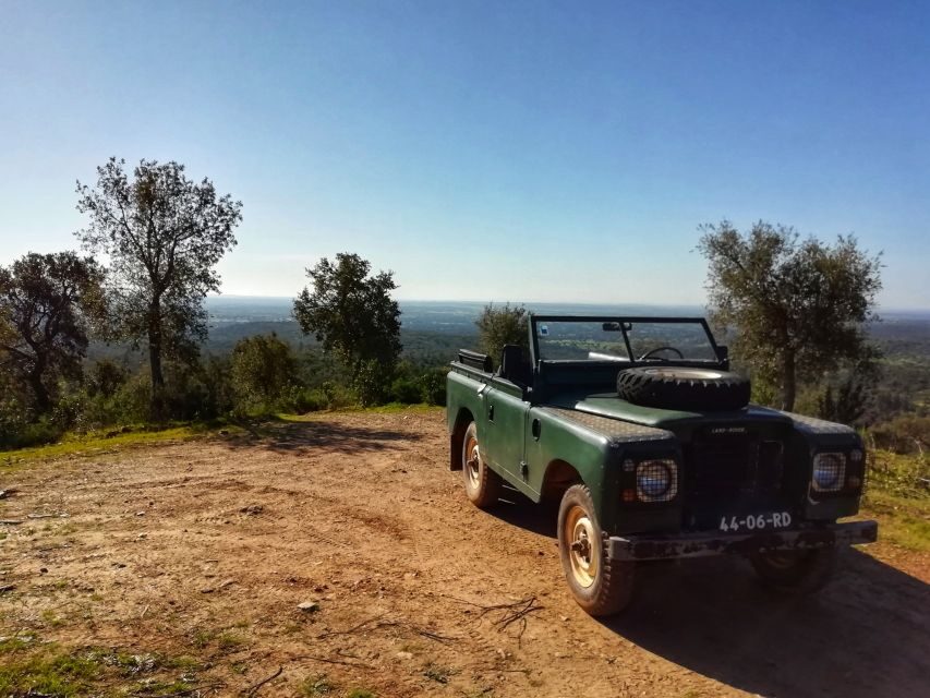 2hr Cork Safari in a Classical Land Rover - The winery shop stop: cork crafts, olive oil, and bottles