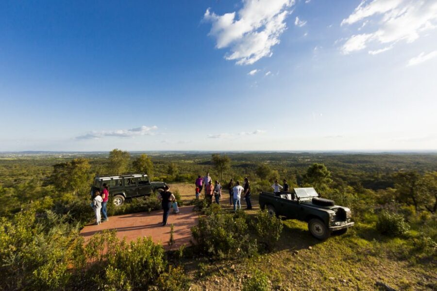 2hr Cork Safari in a Classical Land Rover - Who should book this cork forest Land Rover safari