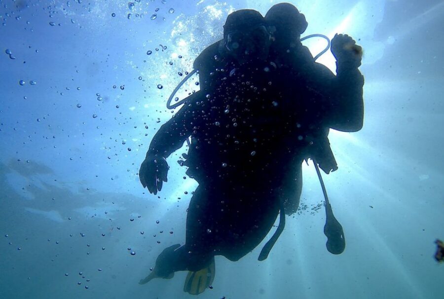 Arrábida - Sesimbra: Eco-Friendly Beginner's Scuba Diving - Key highlights you’ll feel fast