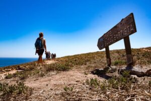Berlengas The Atlantic Frontier: Day Tour from Lisbon - Landing on Berlenga Grande: fort focus first, beach time later