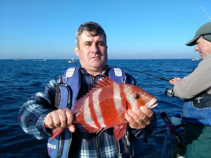 Cascais Deep-Sea Fishing Trip - Cascais Bay Fishing: Why This Trip Feels Better Than a Big-Group Tour