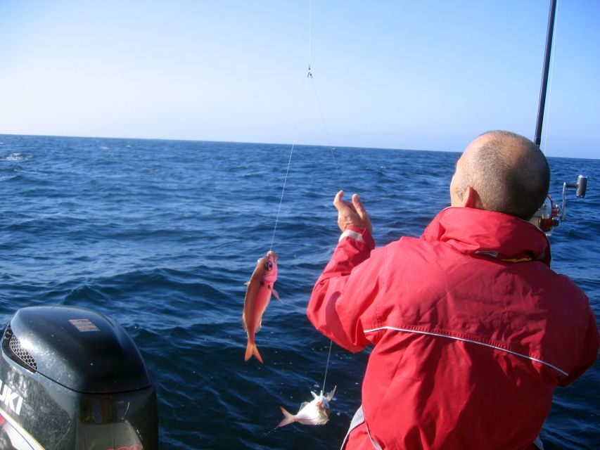 Cascais Deep-Sea Fishing Trip - The Half-Day vs Full-Day Timing: What Changes and What Stays the Same