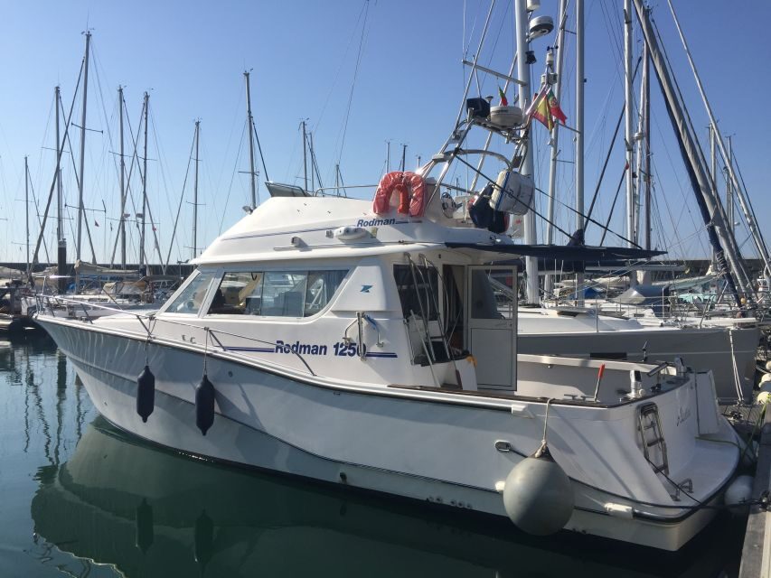 Cascais Deep-Sea Fishing Trip - How the Crew Improves Your Odds (Beginner-Friendly, Without Babying)