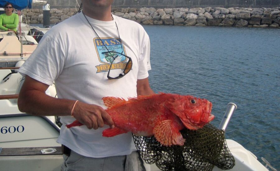 Cascais Deep-Sea Fishing Trip - Boat Comfort, On-Board Atmosphere, and Small-Group Feel