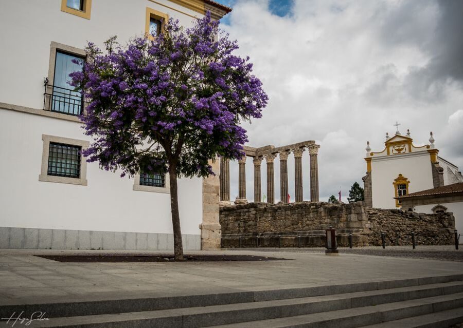 Évora: Tales and Legends Guided Walking Tour - Architecture you can still see: why centuries overlap in plain sight
