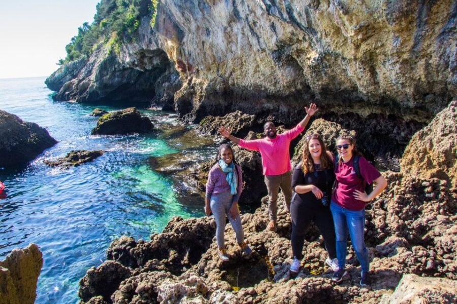 From Lisbon: Arrábida Day Tour & Wine Tasting - How to Make the Day Go Smoothly (and Enjoy the Beach More)