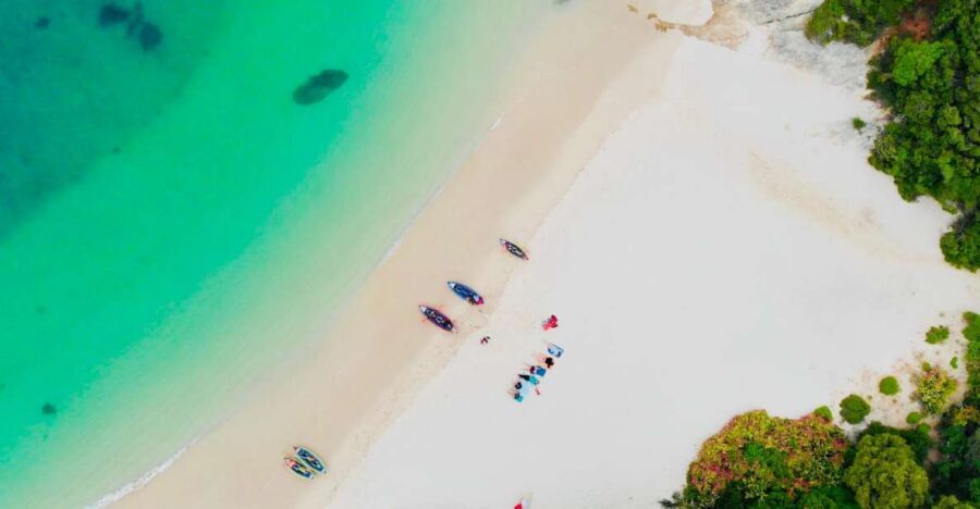 From Lisbon: Arrábida Natural Park Kayak Tour with Lunch - Beach Time, Cold Water, and What to Bring So You Enjoy It
