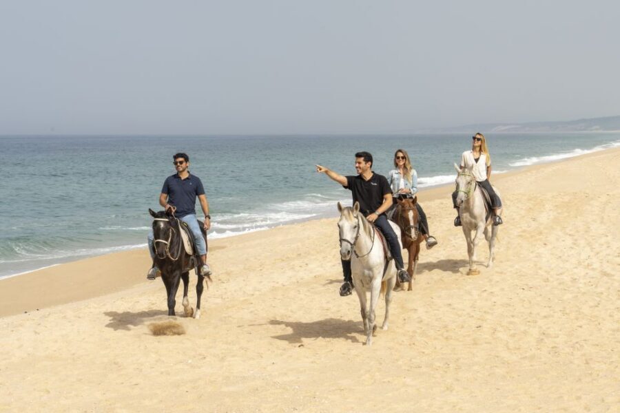 From Lisbon: Comporta and Setúbal Trip with Horseback Riding - Setúbal’s Mercado do Livramento: the fishing-industry core
