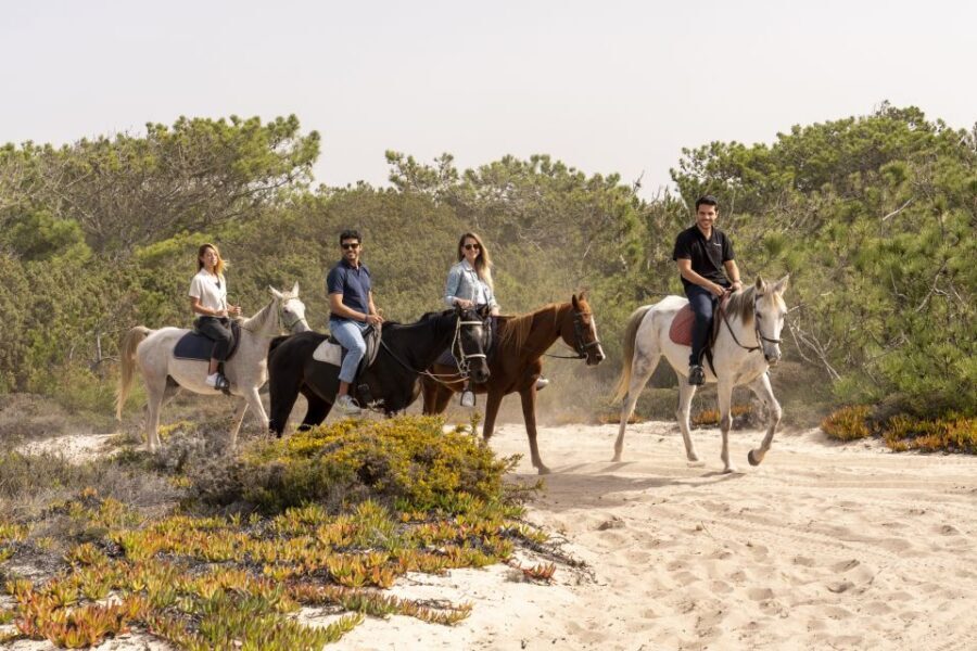 From Lisbon: Comporta and Setúbal Trip with Horseback Riding - Beach riding expectations: what you should (and shouldn’t) plan for