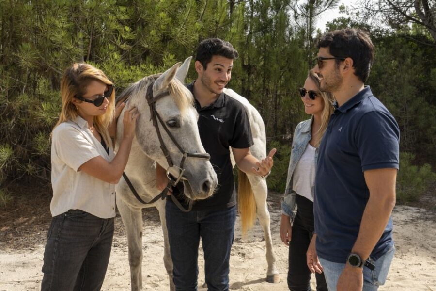 From Lisbon: Comporta and Setúbal Trip with Horseback Riding - Transportation back to Lisbon: fit the return into your evening