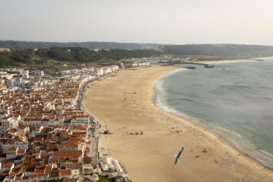 From Lisbon: Day Trip to Porto, Óbidos, and Nazaré - Comfort, Timing, and Photo Planning (So You Don’t Feel Rushed)