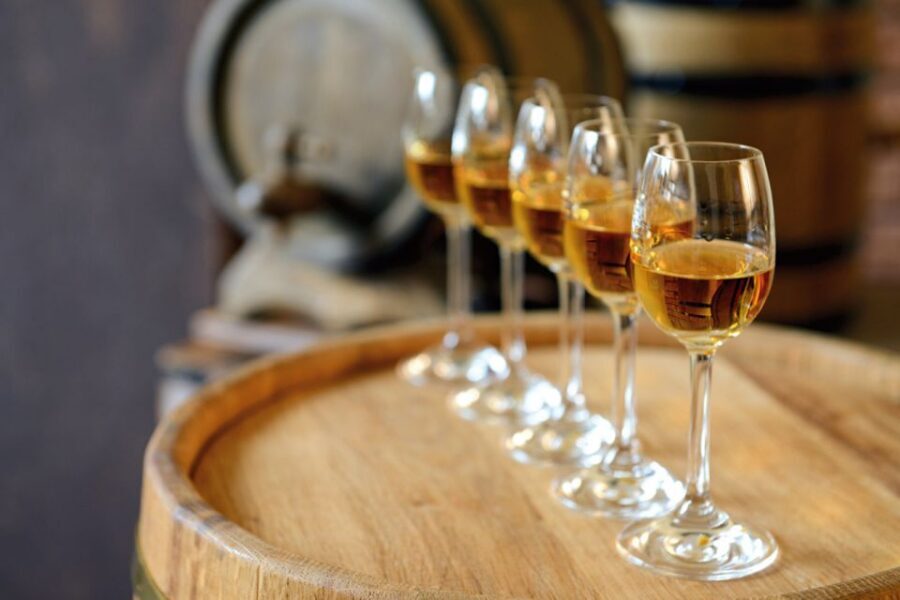 From Lisbon: Évora Wine & Heritage Tour - Cathedral of Évora and the Chapel of Bones: two extremes, one memorable day