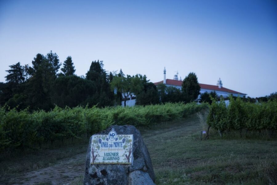 From Lisbon: Évora Wine & Heritage Tour - Price and value: is $100 fair for a 10-hour heritage day?