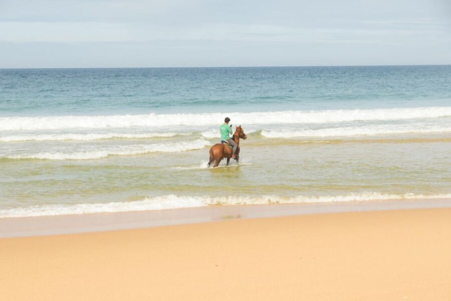 From Lisbon: Horseback Riding on Comporta Beach - Key moments that make this ride worth it