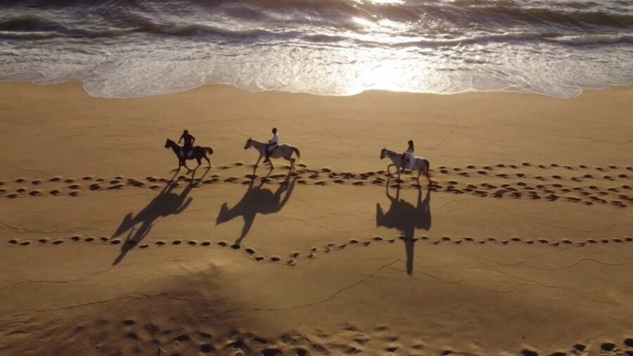 From Lisbon: Horseback Riding on Comporta Beach - From Lisbon to Comporta: what that coastal drive does to your day