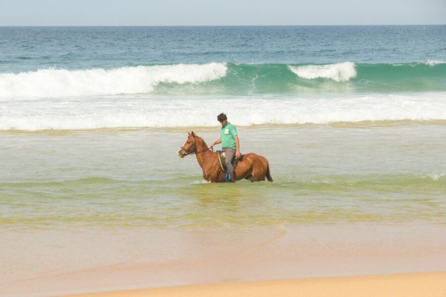 From Lisbon: Horseback Riding on Comporta Beach - Atlantic Forest to dunes: the route that turns a beach ride into a nature walk on horseback
