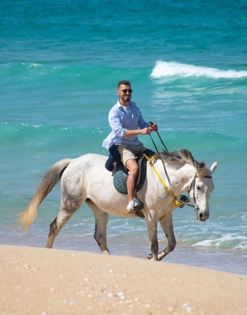 From Lisbon: Horseback Riding on Comporta Beach - Choosing your horse: Lusitano first, then different breeds depending on the day