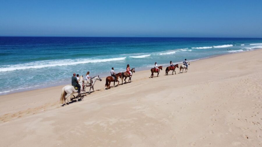 From Lisbon: Horseback Riding on Comporta Beach - Safety and comfort: equipment included, and the guide matters more than you think