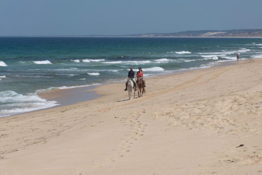From Lisbon: Horseback Riding on Comporta Beach - Group size, languages, and how instruction shows up in real life