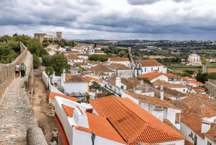 From Lisbon: Nazare Big Waves and Óbidos Guide Day Trip - Lisbon to the coast in an air-conditioned van: simple, steady, and timed well
