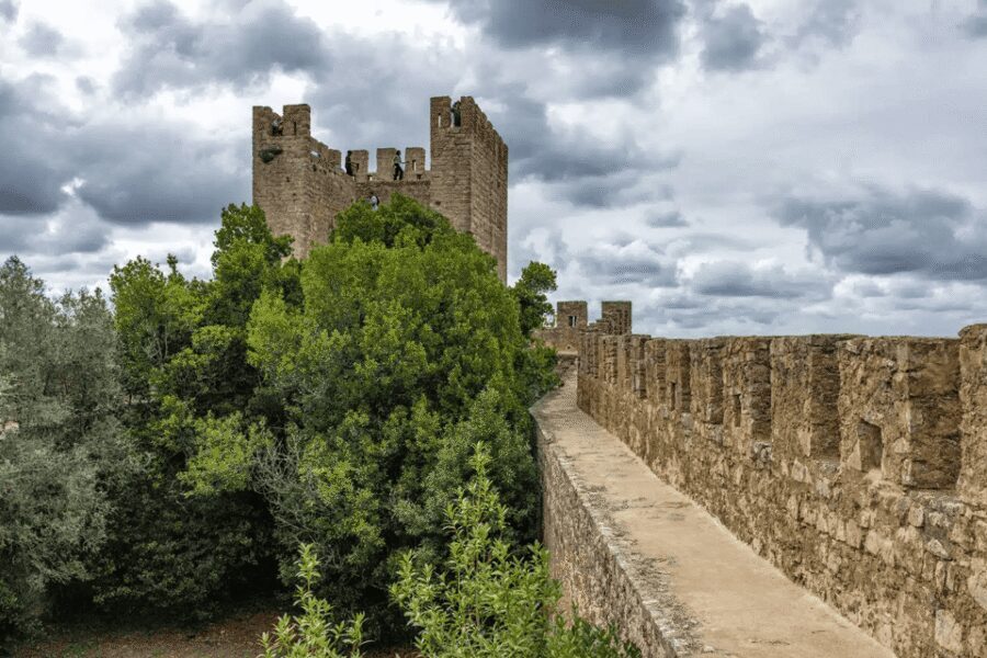 From Lisbon: Nazare Big Waves and Óbidos Guide Day Trip - Óbidos: a medieval walled town that rewards slow walking