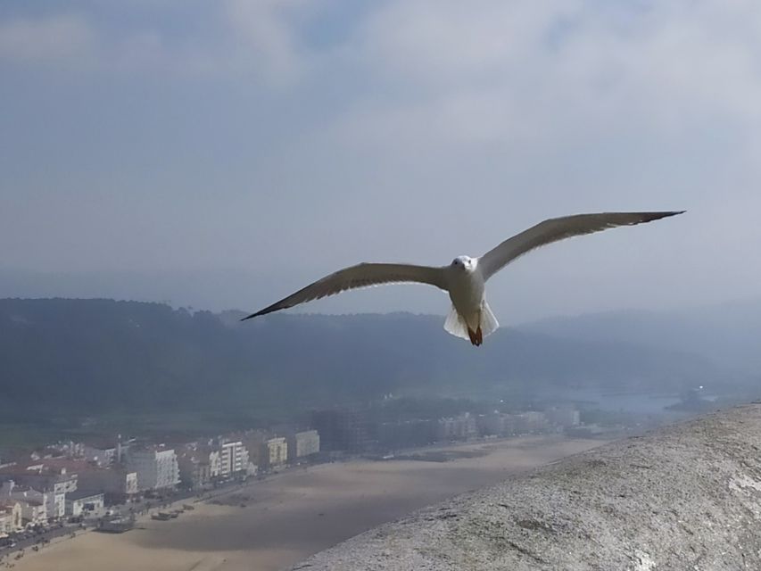 From Lisbon: Private Óbidos and Nazaré Tour - Ginginha Stop: A Small Cup You’ll Remember
