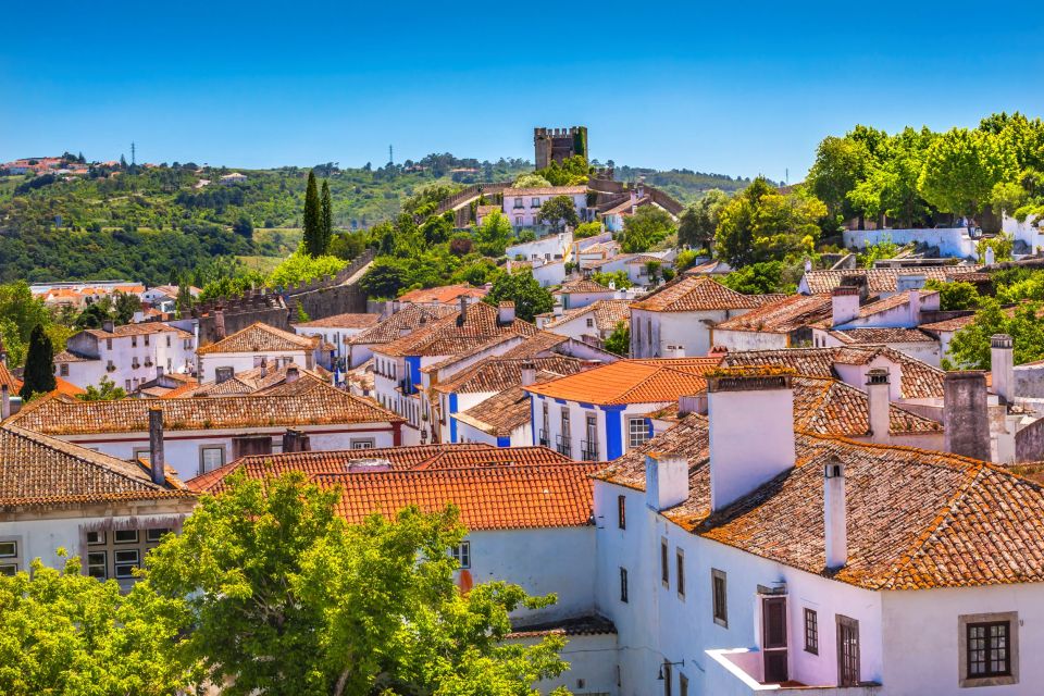 From Lisbon: Private Óbidos and Nazaré Tour - Nazaré Beach Time: Fresh Air, Fish Lunch, and Wave Reality