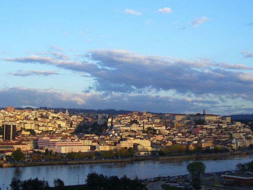 From Lisbon: Private Transfer to Porto with City Stops - Best Fit: Who This Transfer Works For