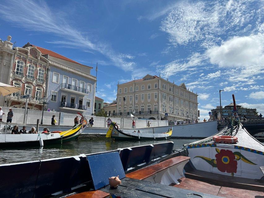 From Lisbon: Private Transfer to Porto with City Stops - Why the Driver Can Make or Break This Kind of Day Trip