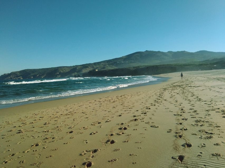 From Lisbon: Sintra and Cascais Natural Park Private Tour - Key Highlights You’ll Care About