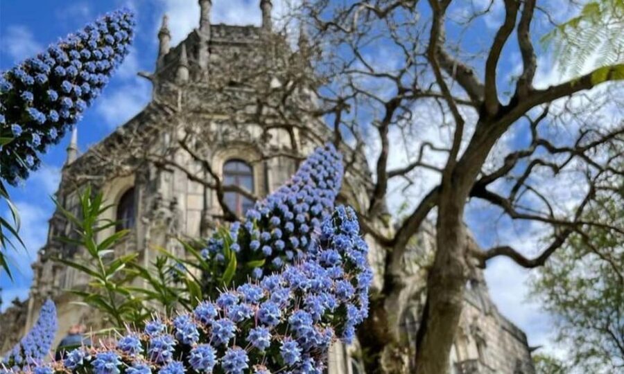 From Lisbon: Sintra, Pena Palace and Regaleira Day Trip - Price and logistics: what $64 really buys you