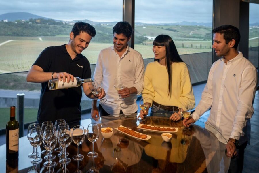 From Lisbon: Sintra & Pena Palace Day Trip with Wine Tasting - Who This Tour Is Best For
