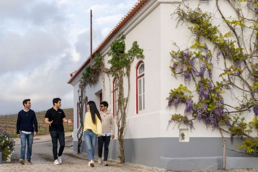 From Lisbon: Sintra & Pena Palace Day Trip with Wine Tasting - The Drive to Mafra: A Quick Change in Pace