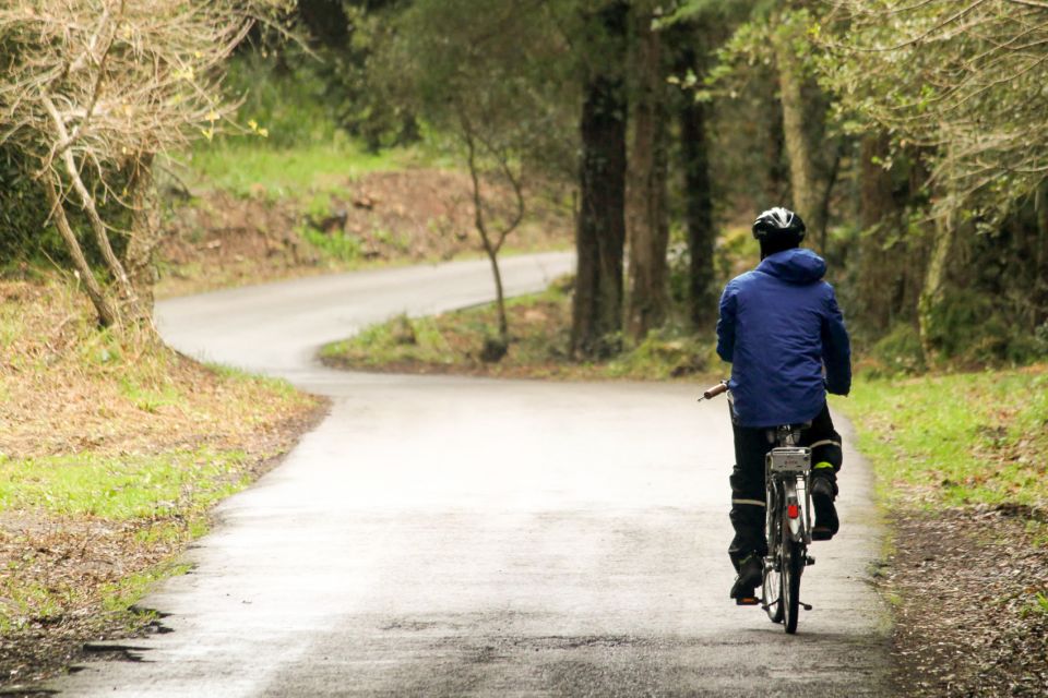 From Lisbon: Sintra to Cascais Full-Day Guided E-Bike Tour - Azóia lunch: where the day recharges in a practical way