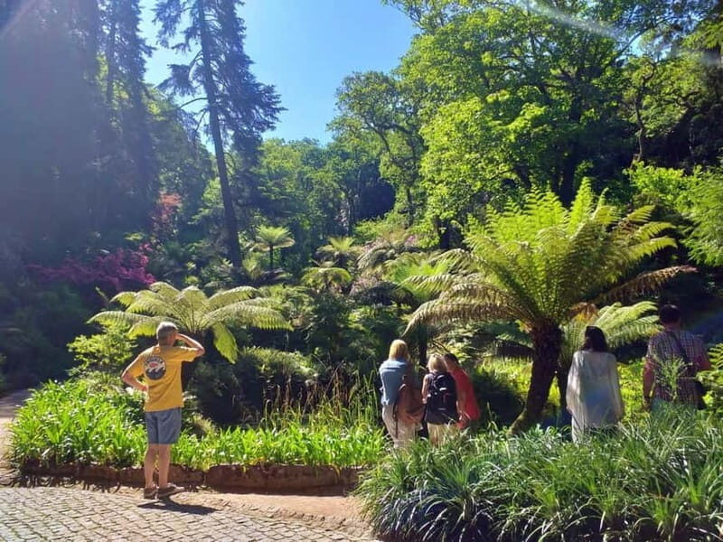 From Lisbon: Sintra's Historical and Natural Gems - Price and What You’ll Pay for Tickets (Cash Reimbursement)
