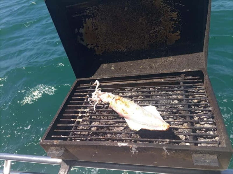 Half Day Fishing Trip - Where You’ll Meet: Gate H at Marina de Cascais