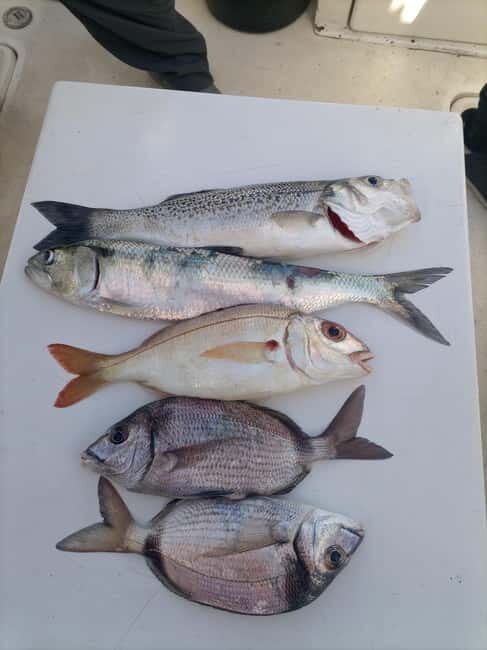 Half Day Fishing Trip - 3 Hours on the Atlantic: What the Crew Teaches You