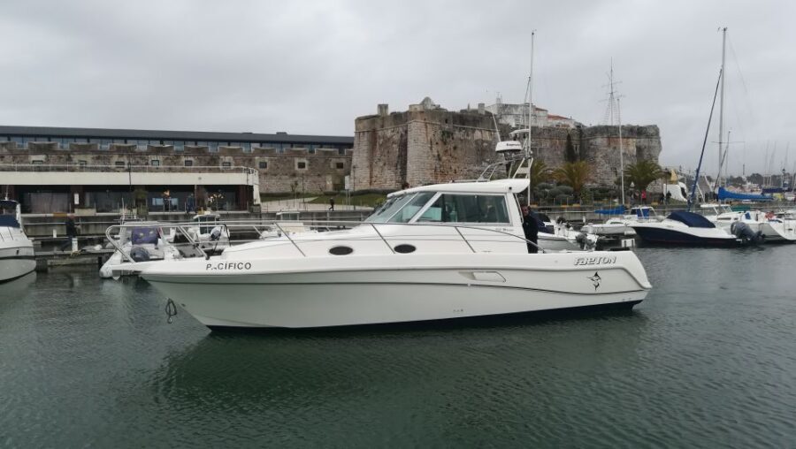 Half Day Fishing Trip - What You Can Do With Your Catch (And How People Plan Their Meals)