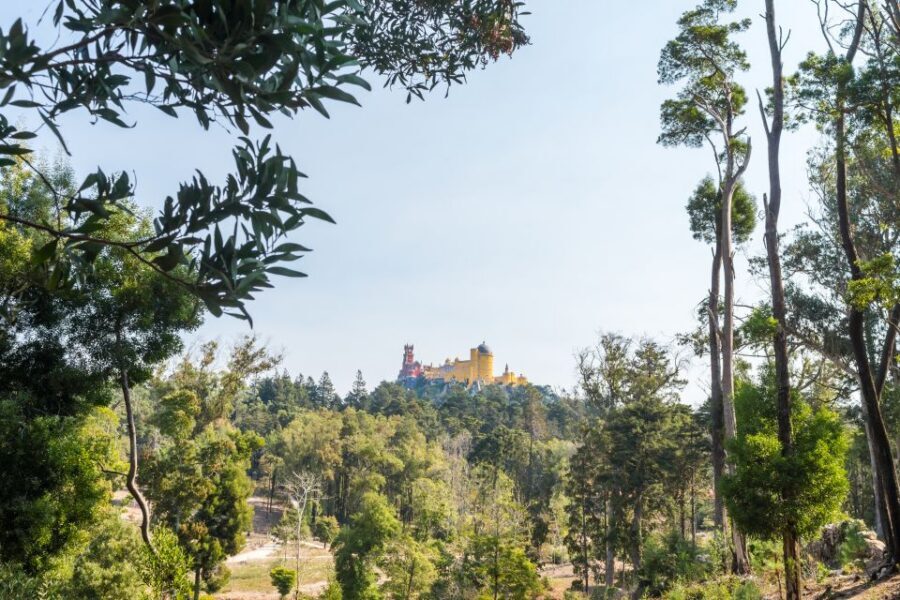 Half-Day Sintra Tour from Lisbon with Transfers - Sintra village and Castelo dos Mouros: the quick taste that sets up the palace story