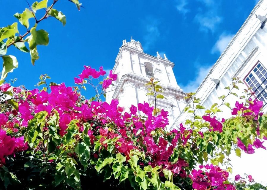 Lisbon: 7 Hills Panoramic Guided Tour by E-Bike - How the E-Bikes Assist You (and When You Still Need Skills)