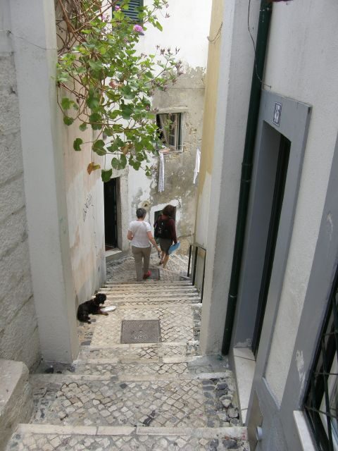 Lisbon: Alfama and São Jorge Castle Quarters Walking Tour - Where the walk begins: Casa dos Bicos and the House of Spikes