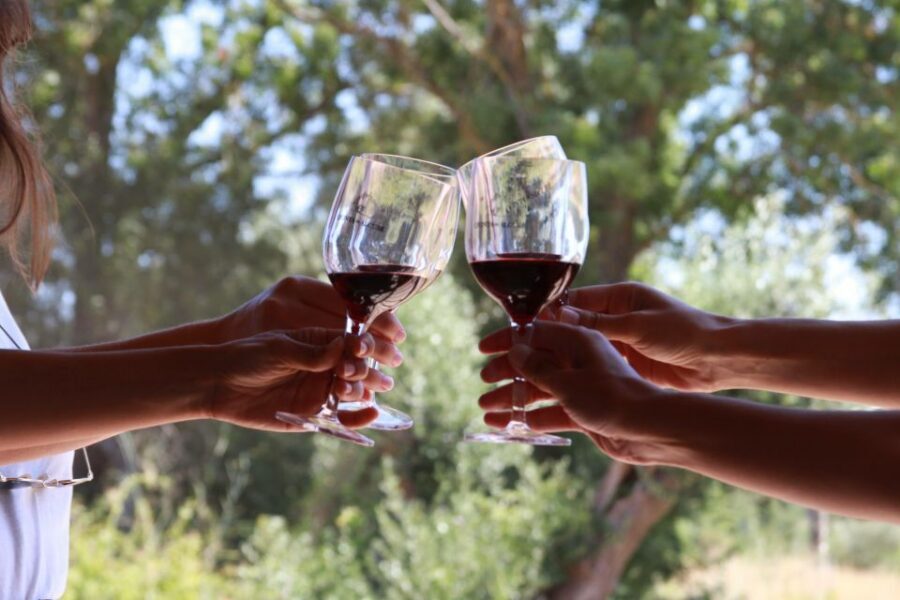 Lisbon: Arrábida and Sesimbra Day Trip with Wine - Why Arrábida and Sesimbra feel different from Lisbon