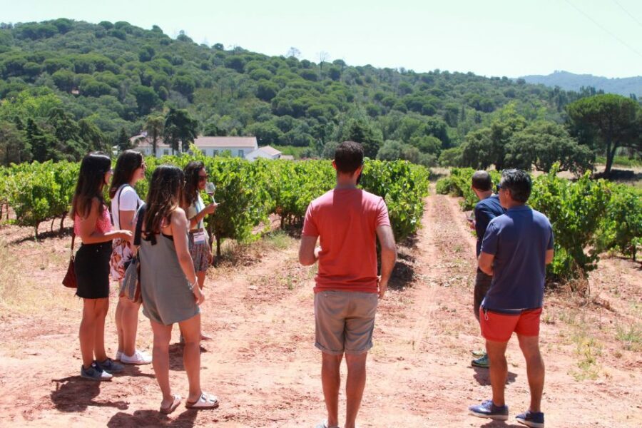 Lisbon: Arrábida and Sesimbra Day Trip with Wine - Vasco da Gama Bridge and the Palmela castle moment