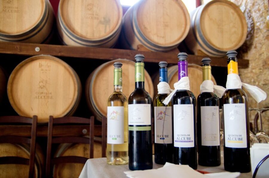 Lisbon: Arrábida and Sesimbra Day Trip with Wine - Sesimbra: lunch you choose and a slower seaside rhythm