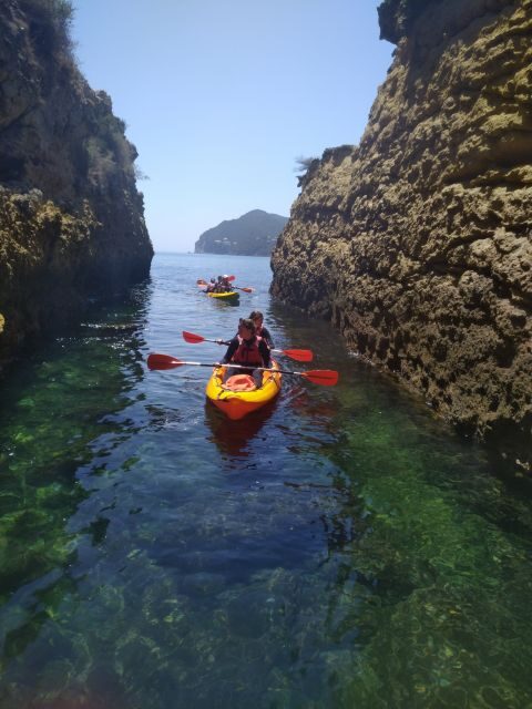 Lisbon: Arrábida Kayak and Coasteering Adventure Tour - Getting to Arrábida: the Zoo meeting point and the van rhythm