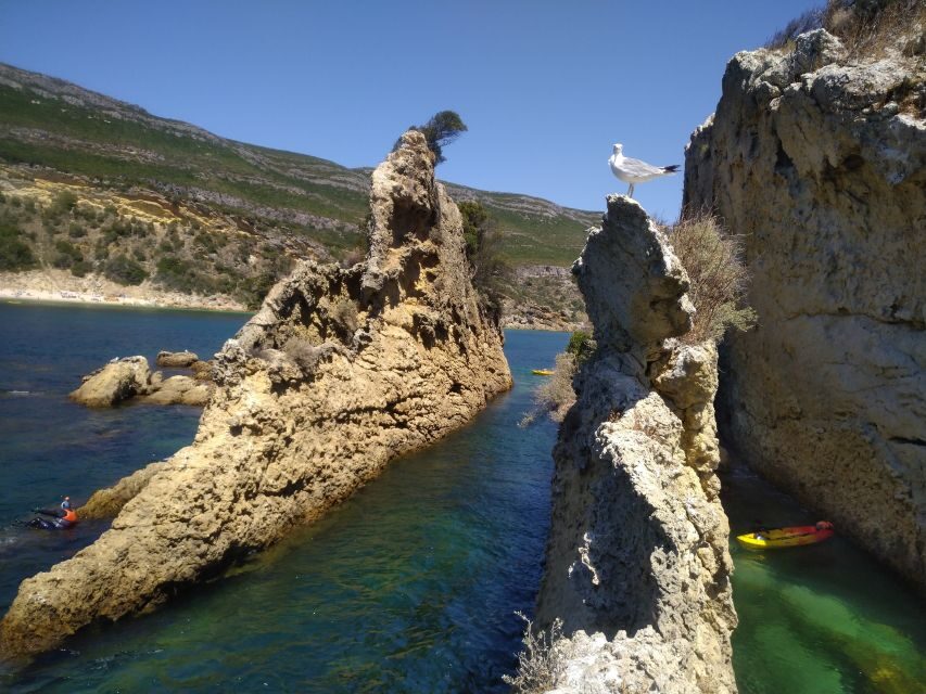 Lisbon: Arrábida Kayak and Coasteering Adventure Tour - Lunch on the beach: picnic food that actually fuels an active day