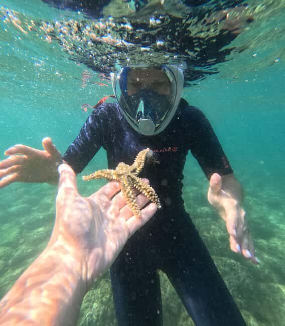 Lisbon: Arrábida Kayak & Wild Beach Snorkeling with Pickup - Should You Book Arrábida LoveSun’s Kayak and Snorkeling Tour?