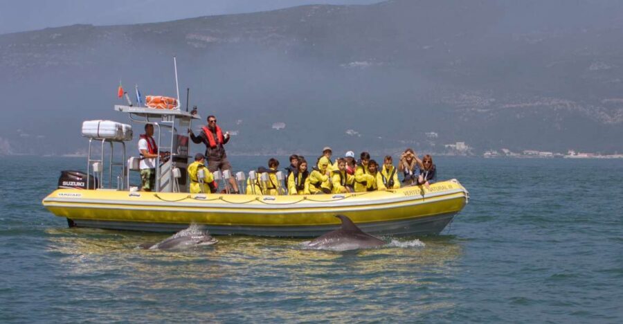 Lisbon: Arrábida Natural Park Dolphin Watching Boat Tour - Arrábida Natural Park by semi-inflatable boat: what that really means