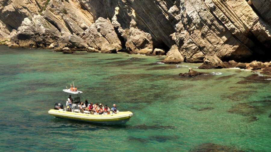 Lisbon: Arrábida Natural Park Dolphin Watching Boat Tour - Price and value: is $58 a fair trade?