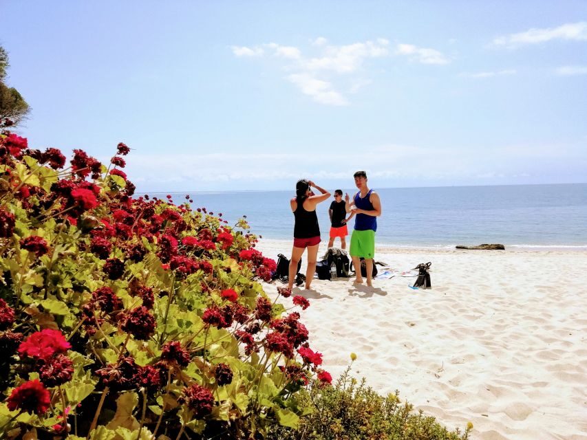 Lisbon: Arrábida Snorkeling Adventure - Guide pace and small-group feel: what the reviews point to